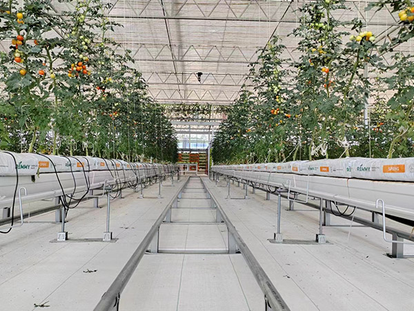 臨沂無土栽培溫室工程