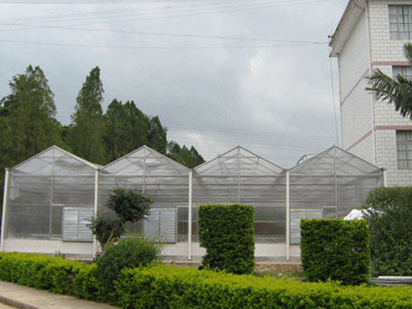 陽光板溫室大棚