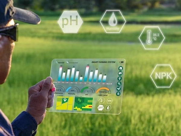 濟(jì)寧新型農(nóng)業(yè)智能化溫室大棚