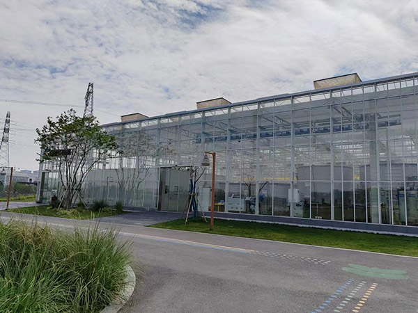 玻璃溫室大棚建設