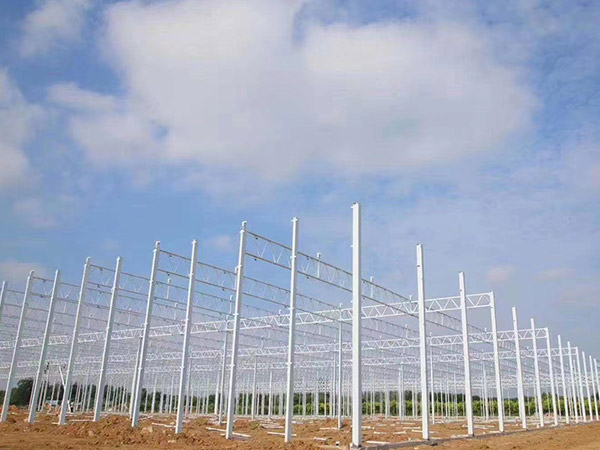 荷澤溫室大棚骨架搭建