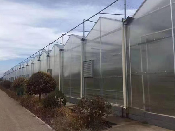 大慶陽(yáng)光板大棚造價(jià)