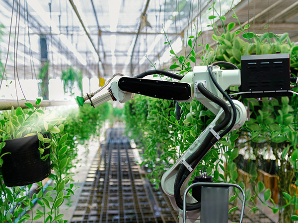 大慶溫室機(jī)器人