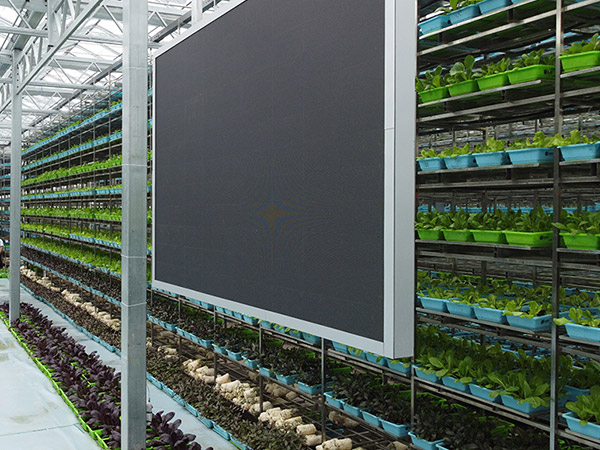 黑河物聯(lián)網(wǎng)控制系統(tǒng)